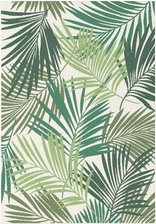 Star Palm