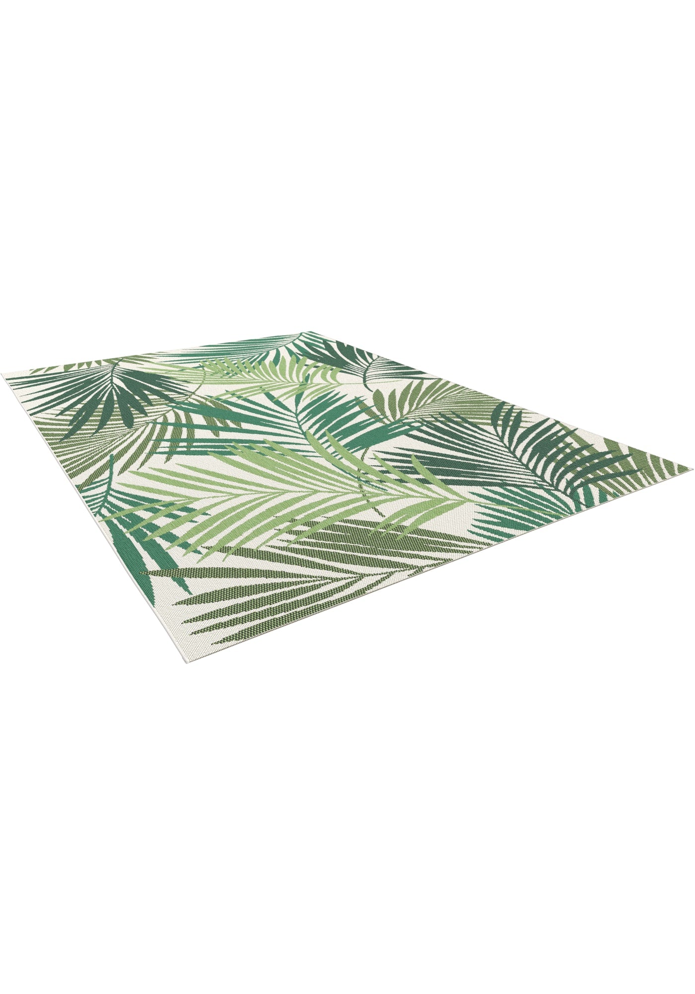 Star Palm