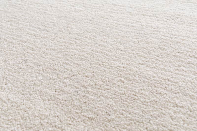 Moon Plain Ivory