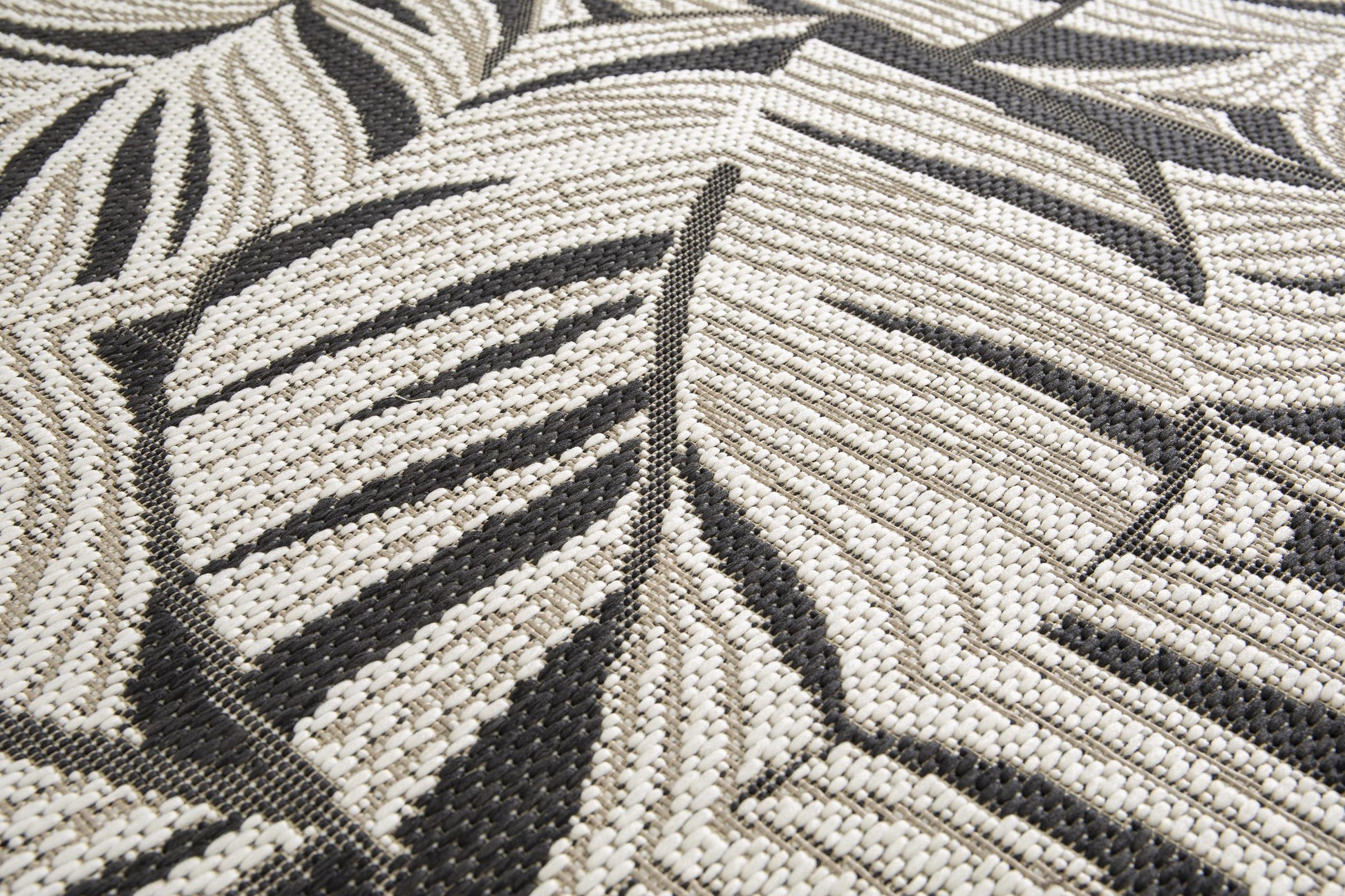 Palma Foliage Monochrome - ZM