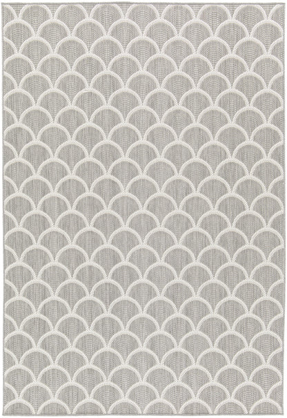 Reduce Scallop Grey