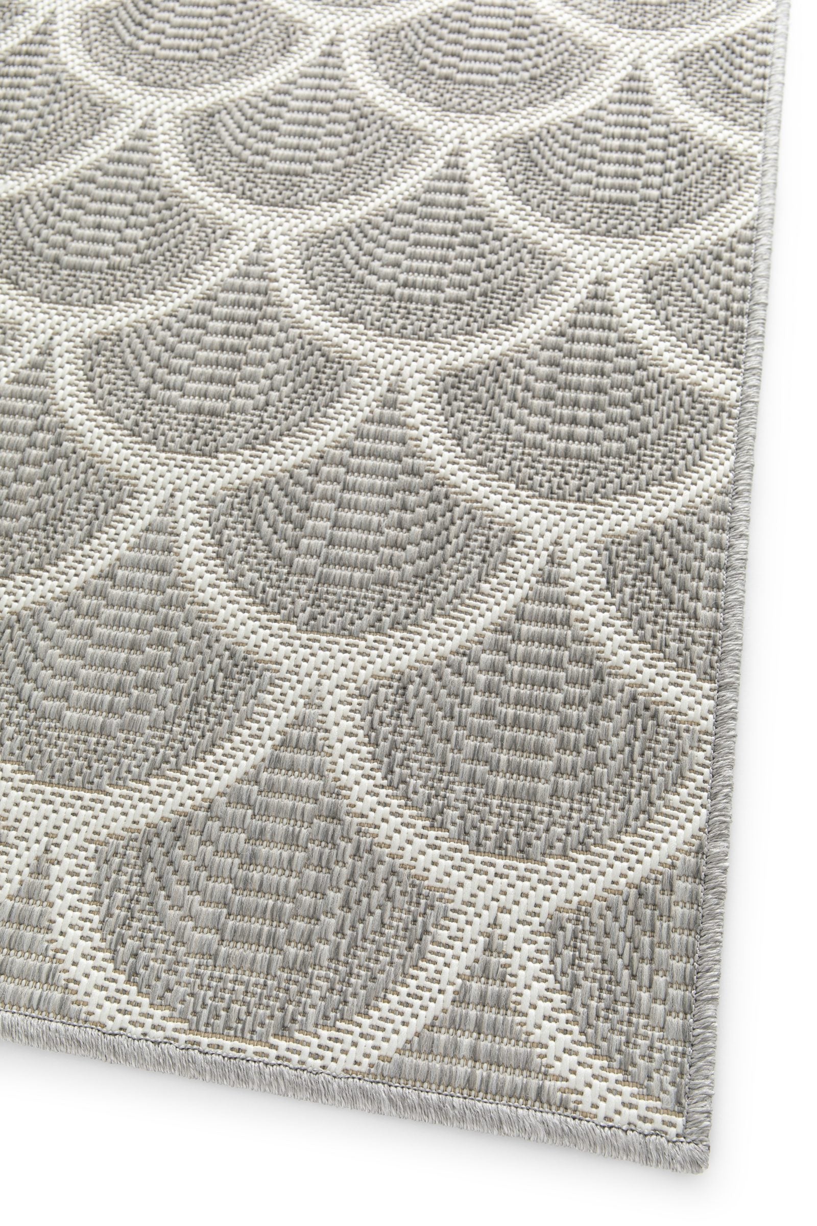Reduce Scallop Grey - CP