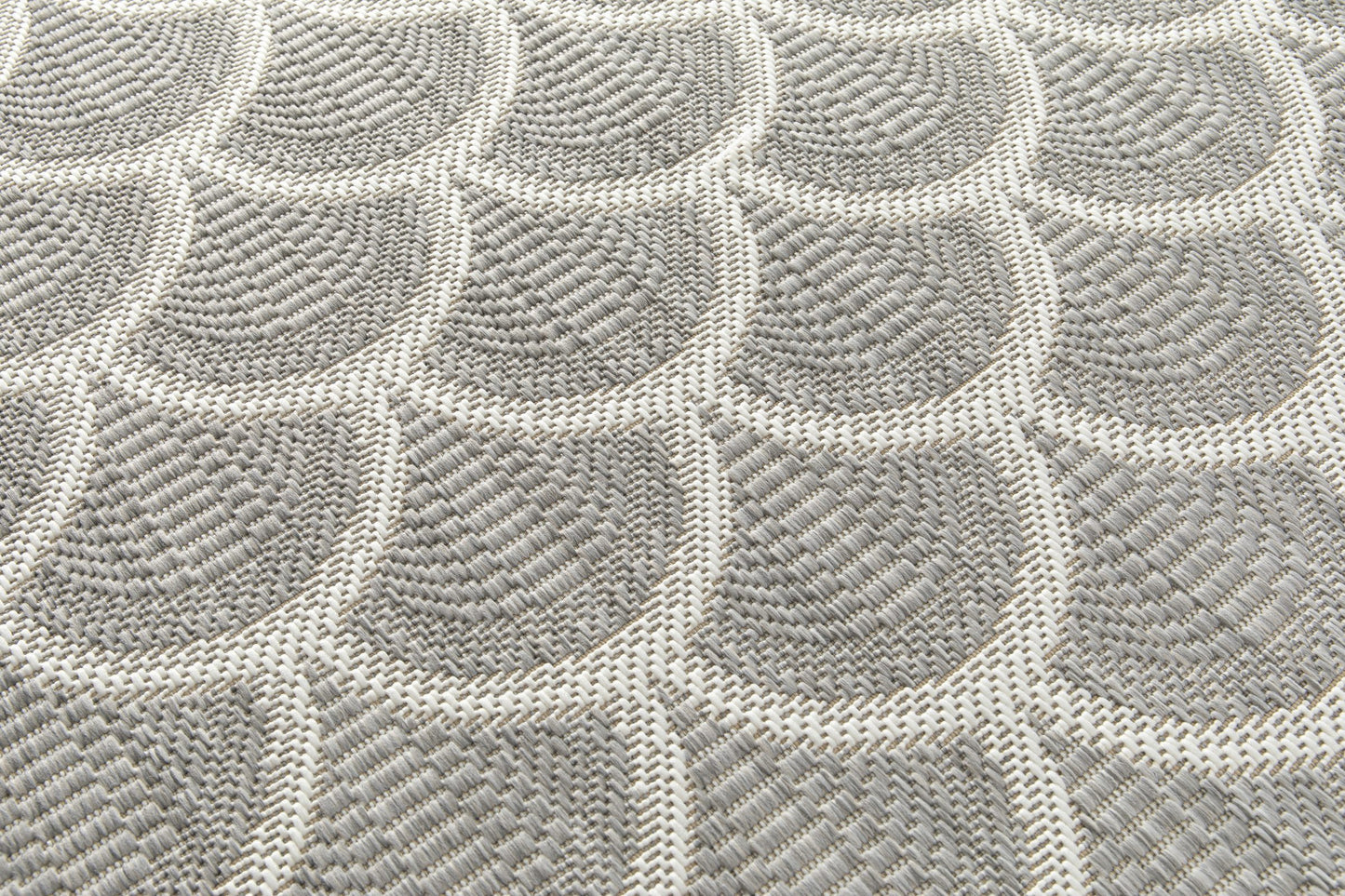 Reduce Scallop Grey - ZM