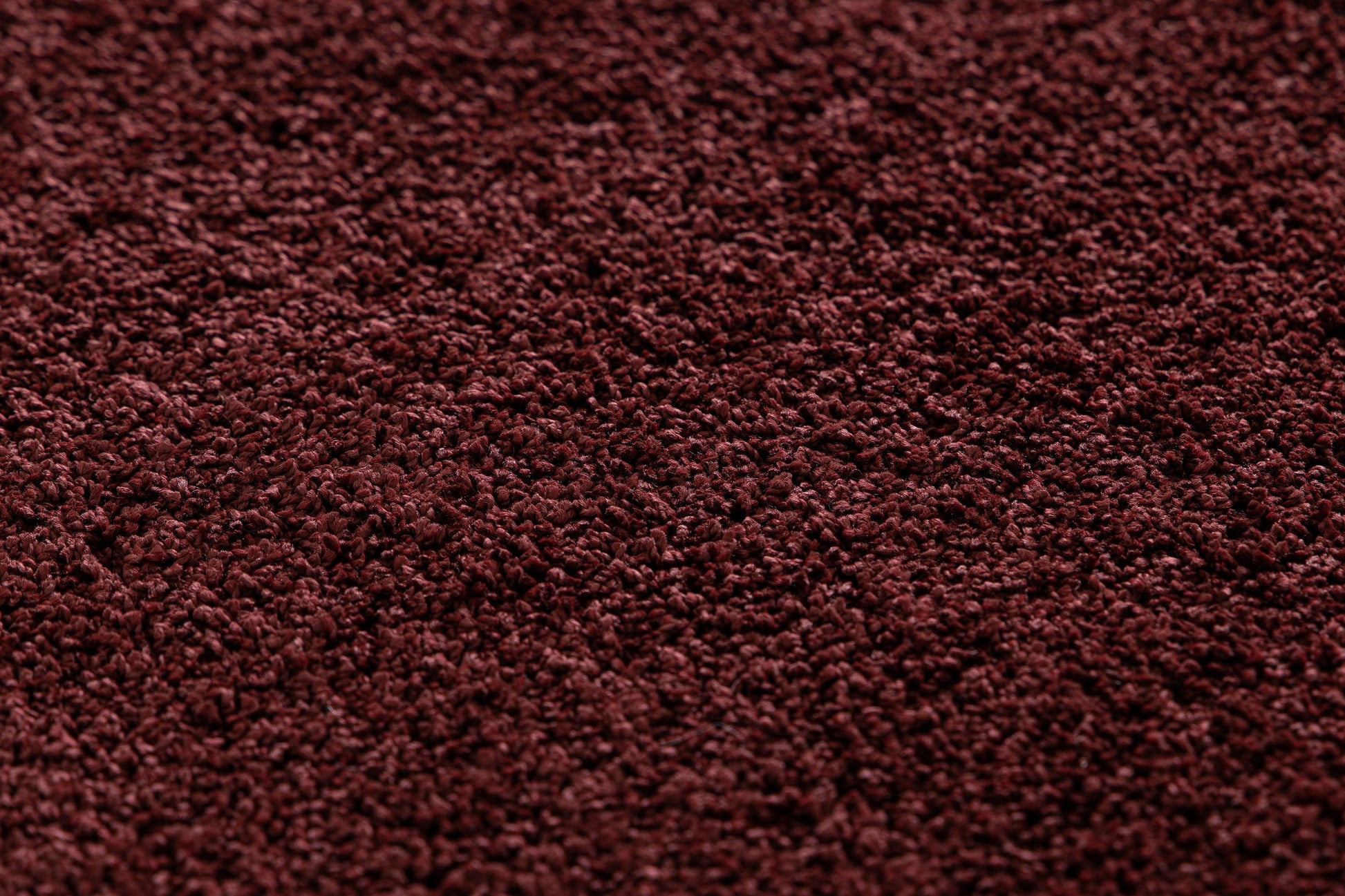 Dolce Shaggy Wine - ZM