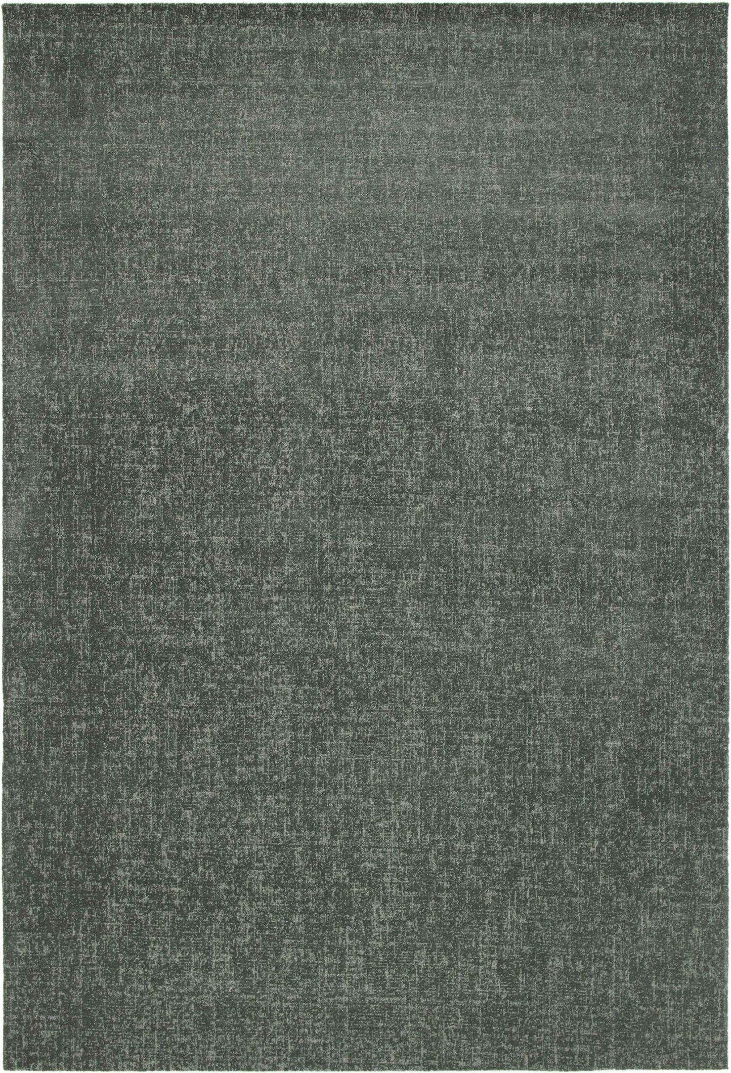 Fiji Plain Forest