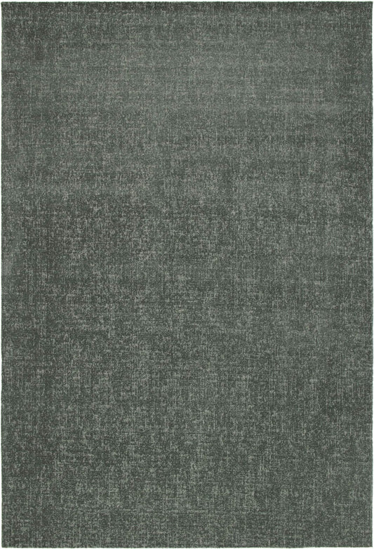 Fiji Plain Forest