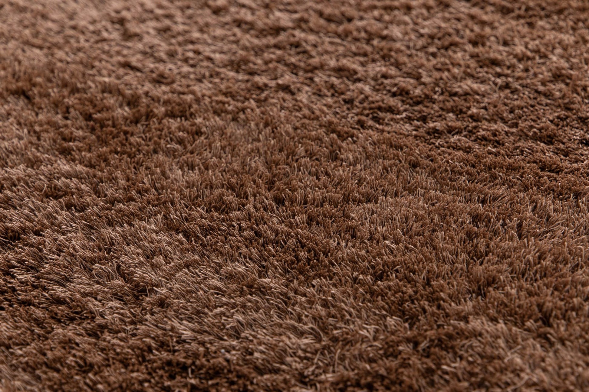 Tivoli Shaggy Chestnut - ZM