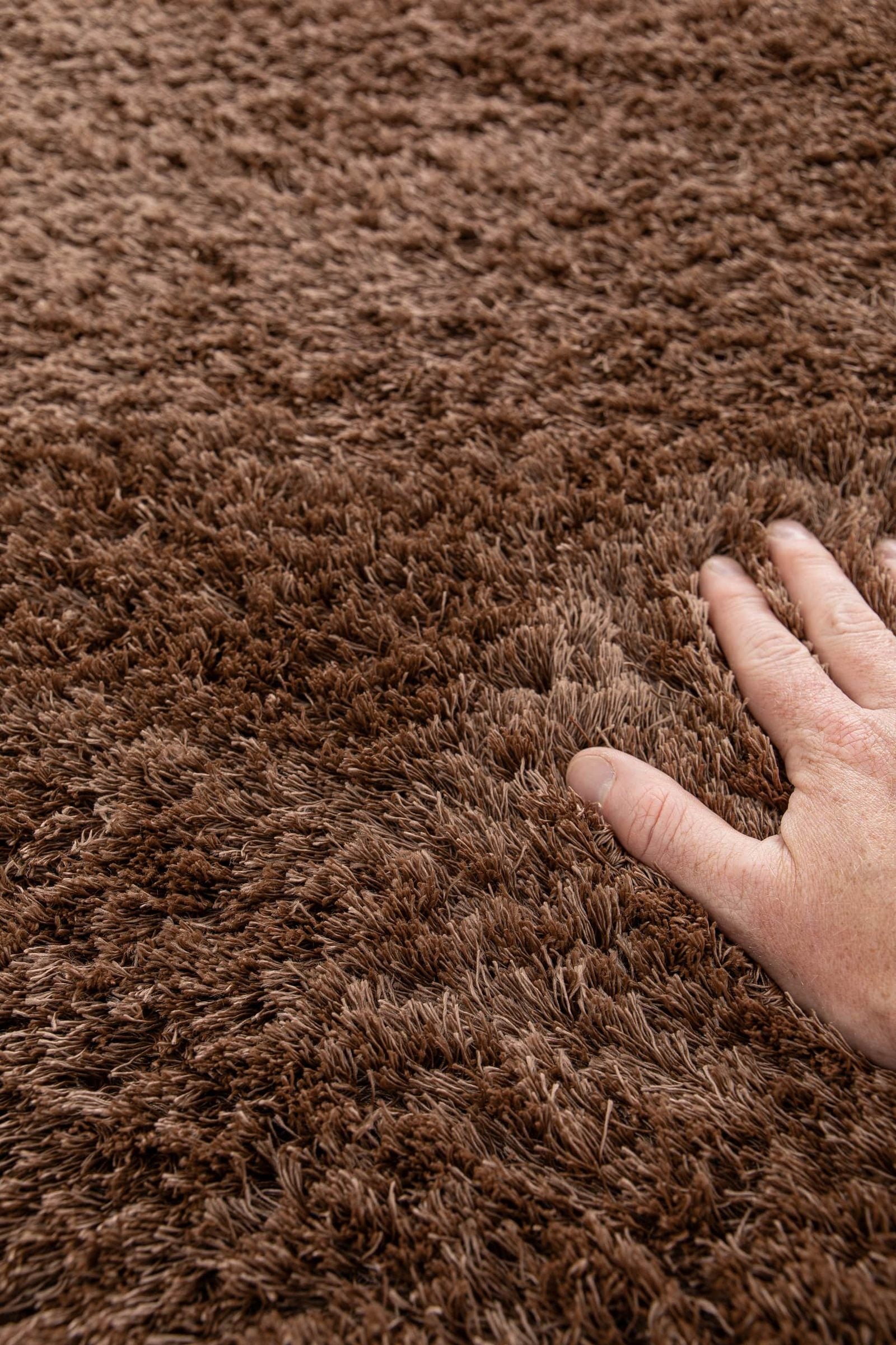 Tivoli Shaggy Chestnut - ZM