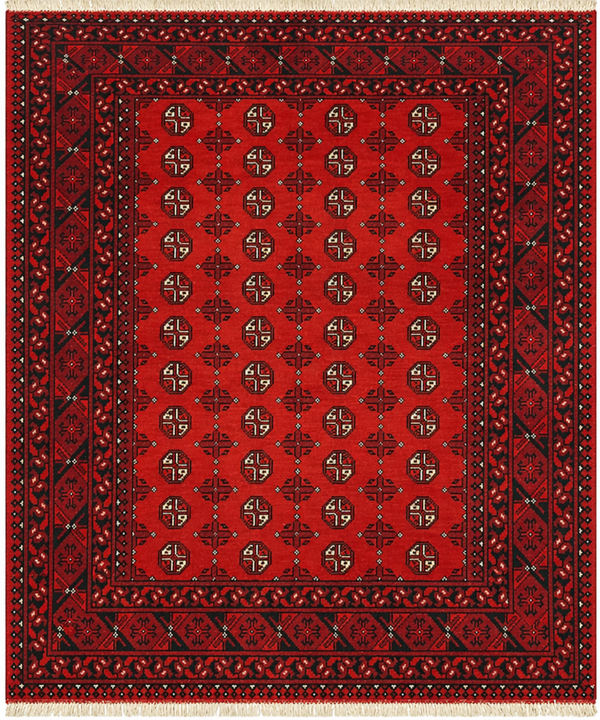 Afghan Aqcha Rug (200x300) — delivered to Bloemfontein